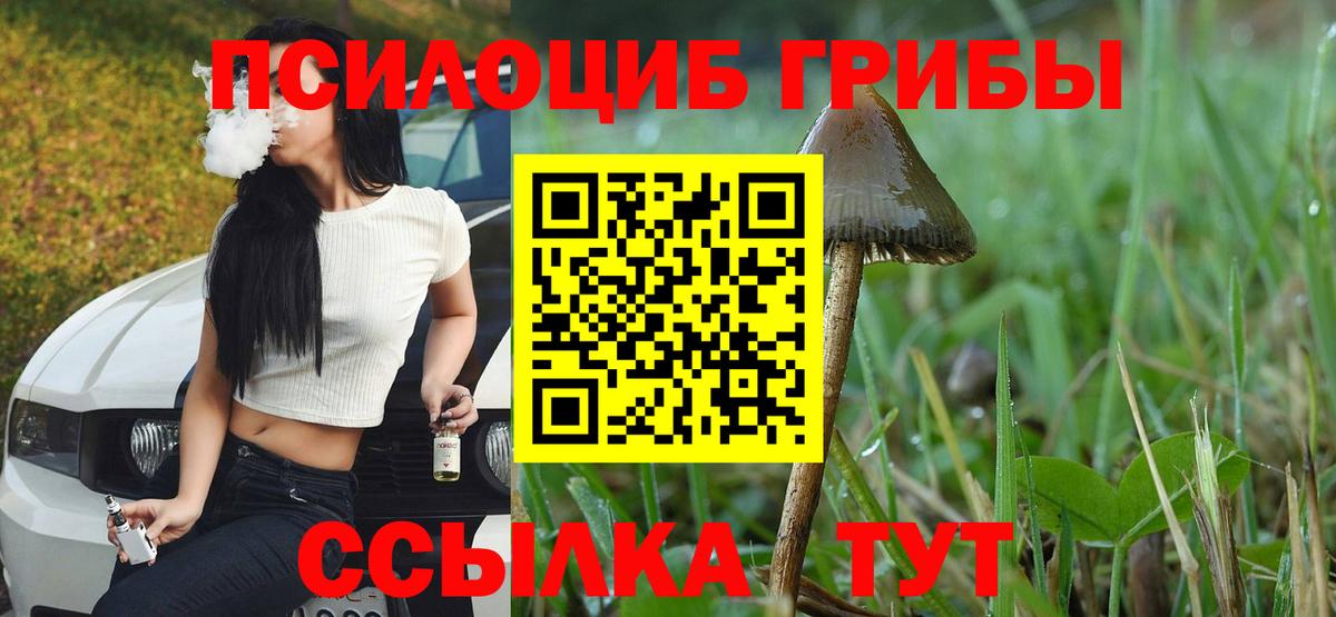 Псилоцибиновые грибы Psilocybe  Вход с VPN  Мирный  Галлюциногенные грибы GOLDEN TEACHER 